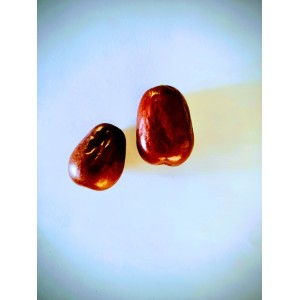 Τζιτζιφια (ziziphus jujuba)