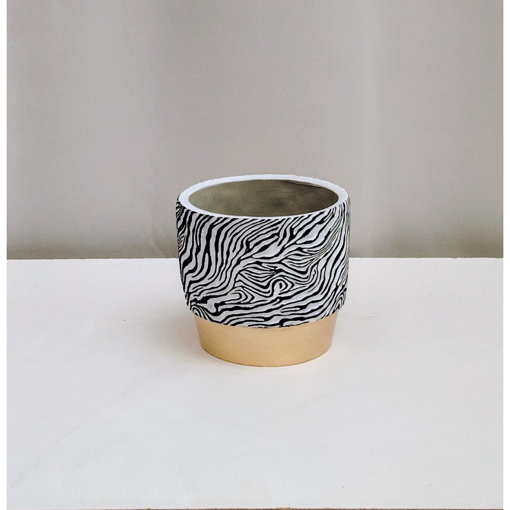 Κασπώ ζέβρα 