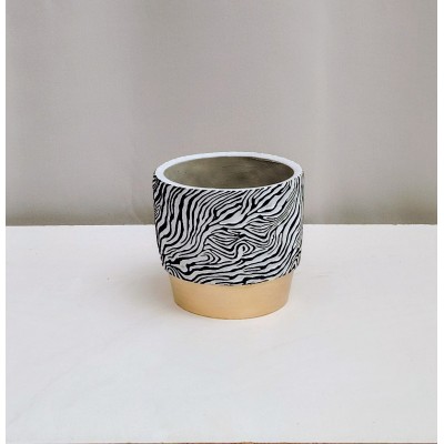 Κασπώ ζέβρα 