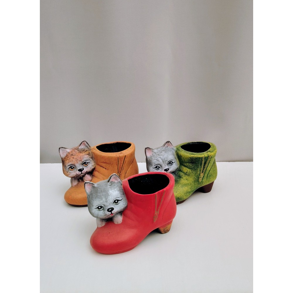 Γατουλα σε παπούτσι 