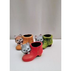 Γατουλα σε παπούτσι 