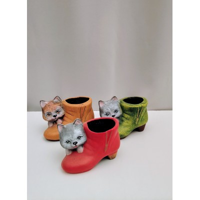 Γατουλα σε παπούτσι 