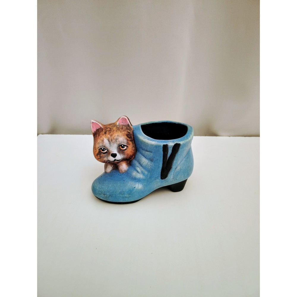 Γατουλα σε παπούτσι 