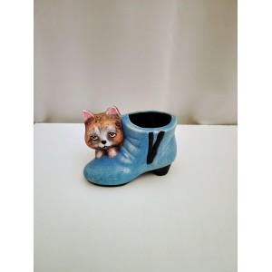 Γατουλα σε παπούτσι 