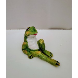 Βάτραχος ξαπλωμένος 