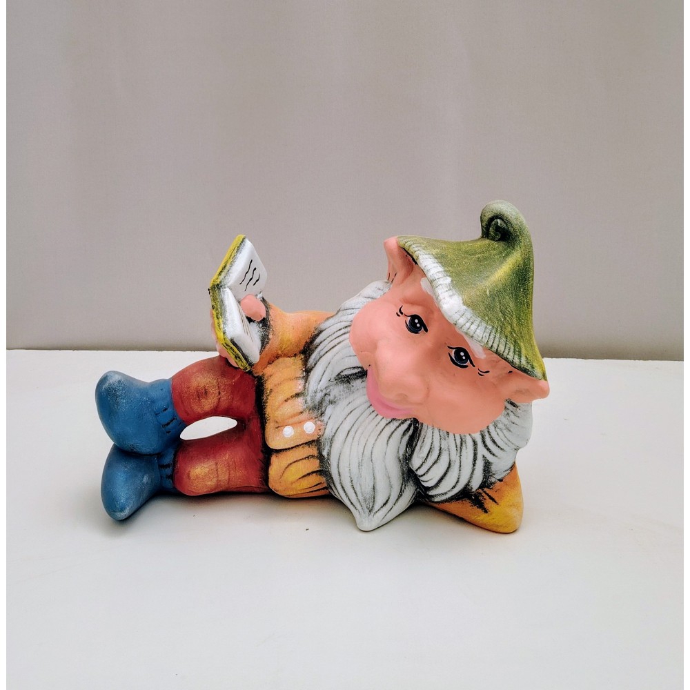 Νάνος βιβλίο 