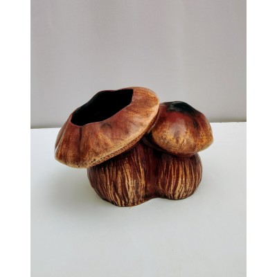 Μανιτάρι κασπω